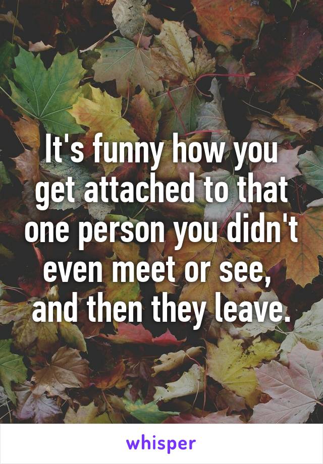 It's funny how you get attached to that one person you didn't even meet or see, 
and then they leave.