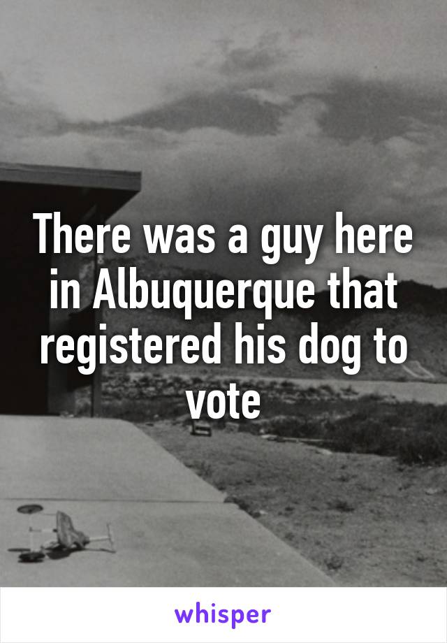 There was a guy here in Albuquerque that registered his dog to vote