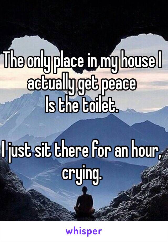 The only place in my house I actually get peace
Is the toilet.

I just sit there for an hour, crying.