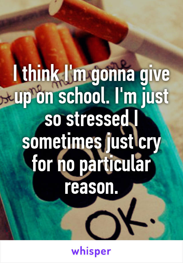 I think I'm gonna give up on school. I'm just so stressed I sometimes just cry for no particular reason.