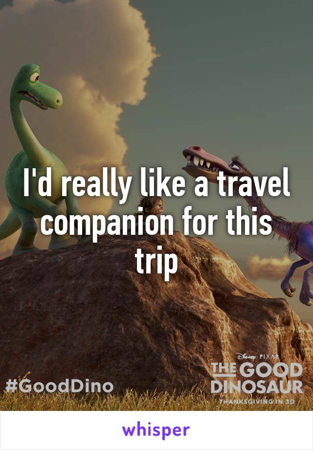 I'd really like a travel companion for this trip