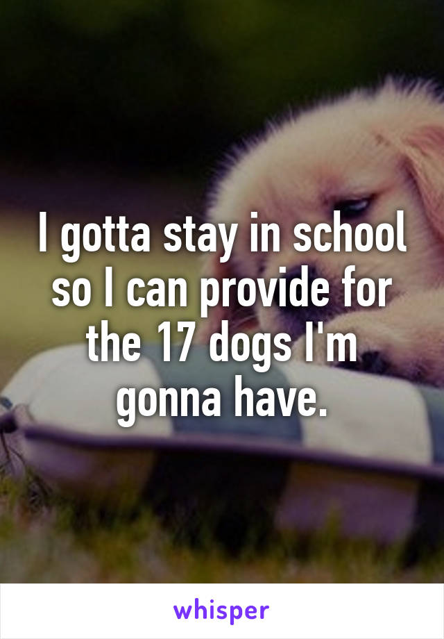 I gotta stay in school so I can provide for the 17 dogs I'm gonna have.