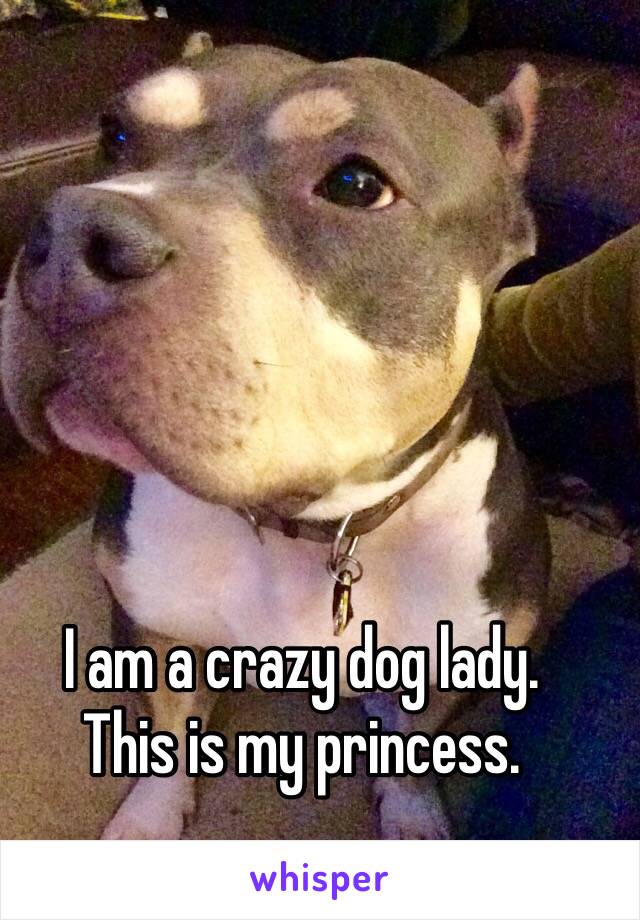 I am a crazy dog lady.
This is my princess.