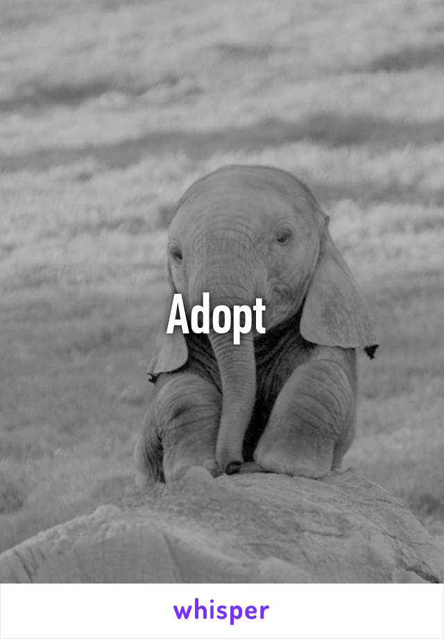 Adopt 