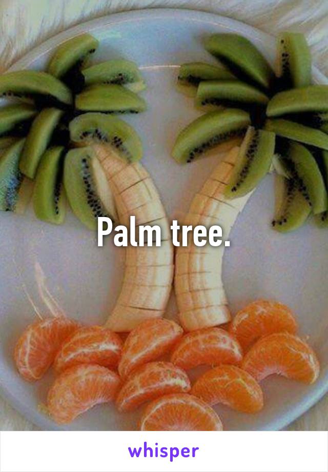 Palm tree.