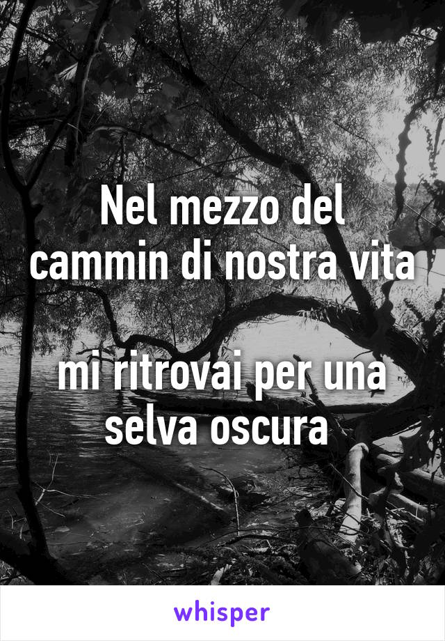 Nel mezzo del cammin di nostra vita 
mi ritrovai per una selva oscura 