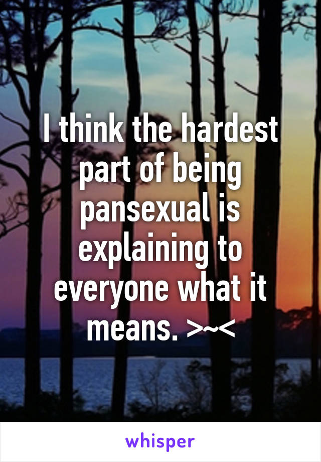 I think the hardest part of being pansexual is explaining to everyone what it means. >~<