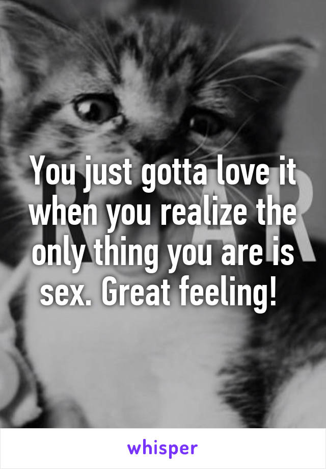 You just gotta love it when you realize the only thing you are is sex. Great feeling! 