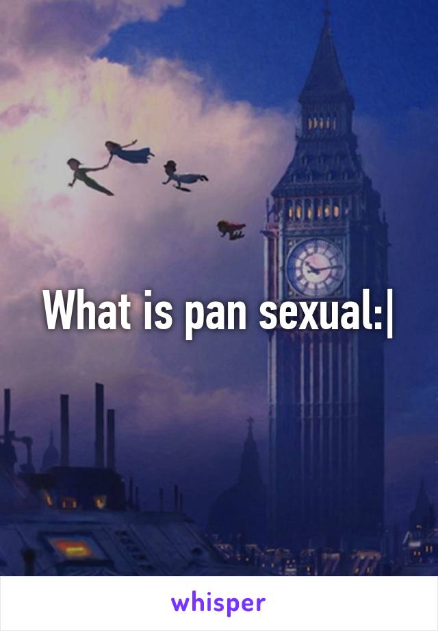 What is pan sexual:|