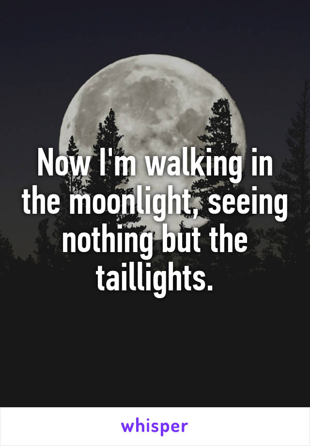 Now I'm walking in the moonlight, seeing nothing but the taillights.