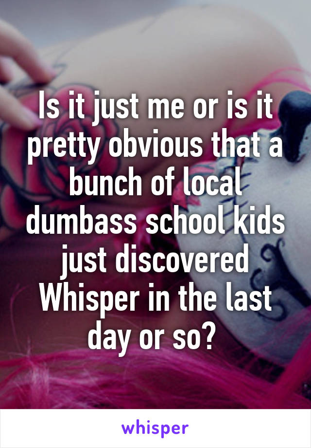 Is it just me or is it pretty obvious that a bunch of local dumbass school kids just discovered Whisper in the last day or so? 