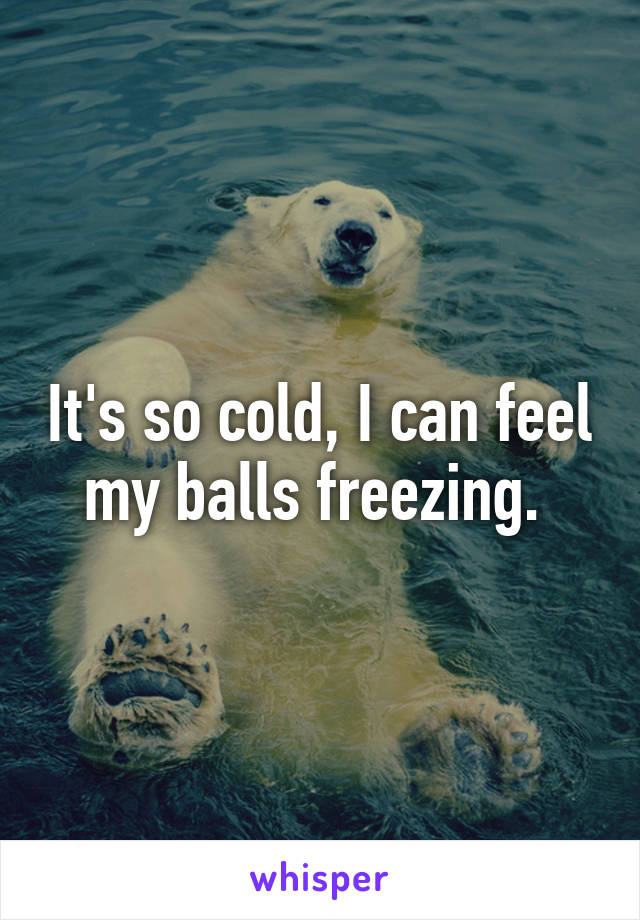 It's so cold, I can feel my balls freezing. 