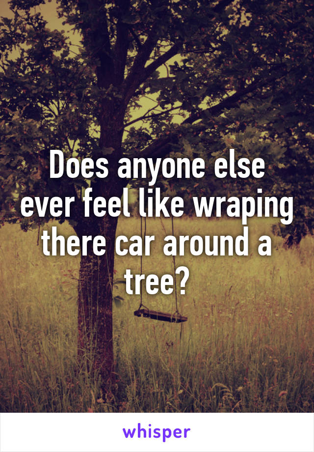 Does anyone else ever feel like wraping there car around a tree?