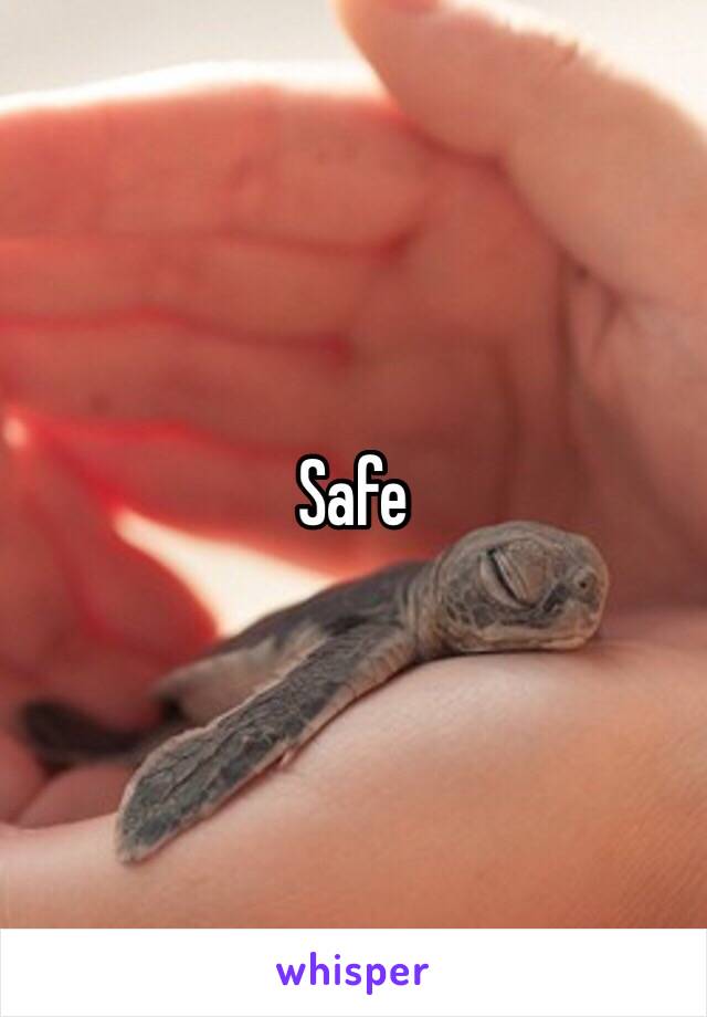 Safe