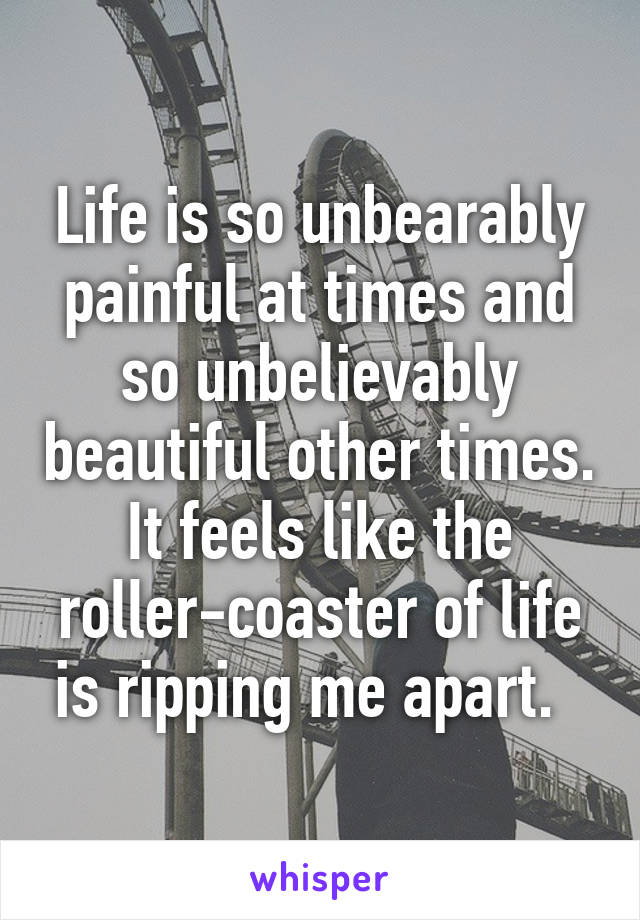 Life is so unbearably painful at times and so unbelievably beautiful other times. It feels like the roller-coaster of life is ripping me apart.  