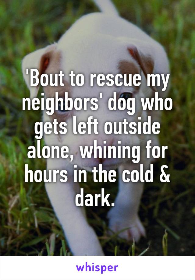 'Bout to rescue my neighbors' dog who gets left outside alone, whining for hours in the cold & dark. 