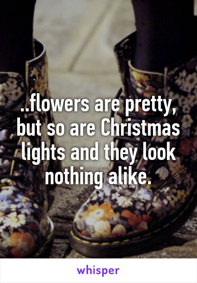 ..flowers are pretty, but so are Christmas lights and they look nothing alike.