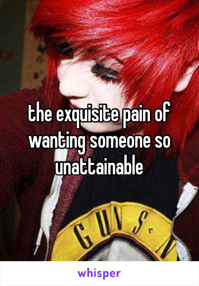 the exquisite pain of wanting someone so unattainable