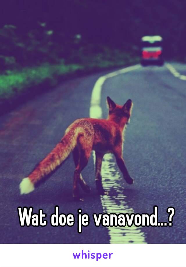 Wat doe je vanavond...?