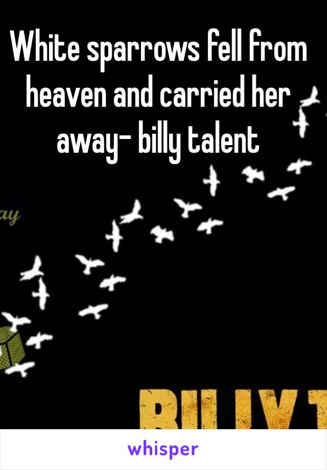 White sparrows fell from heaven and carried her away- billy talent 