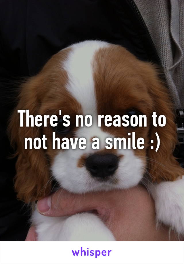 There's no reason to not have a smile :)