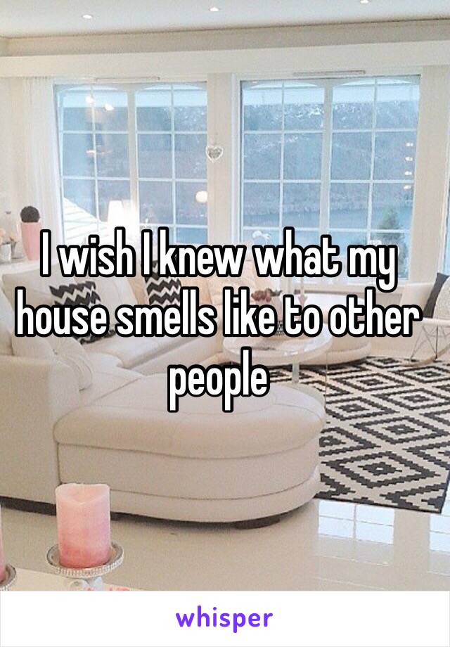 I wish I knew what my house smells like to other people