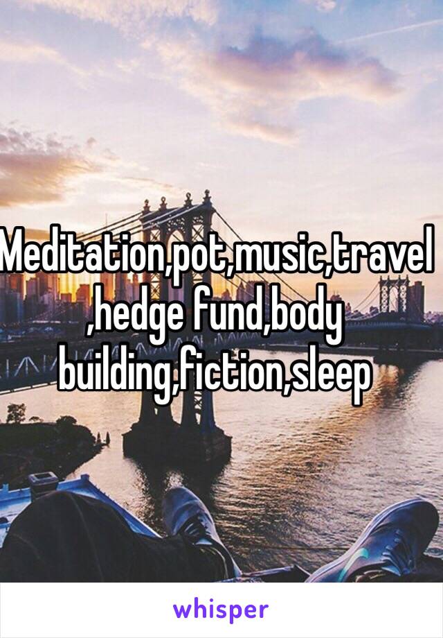 Meditation,pot,music,travel,hedge fund,body building,fiction,sleep