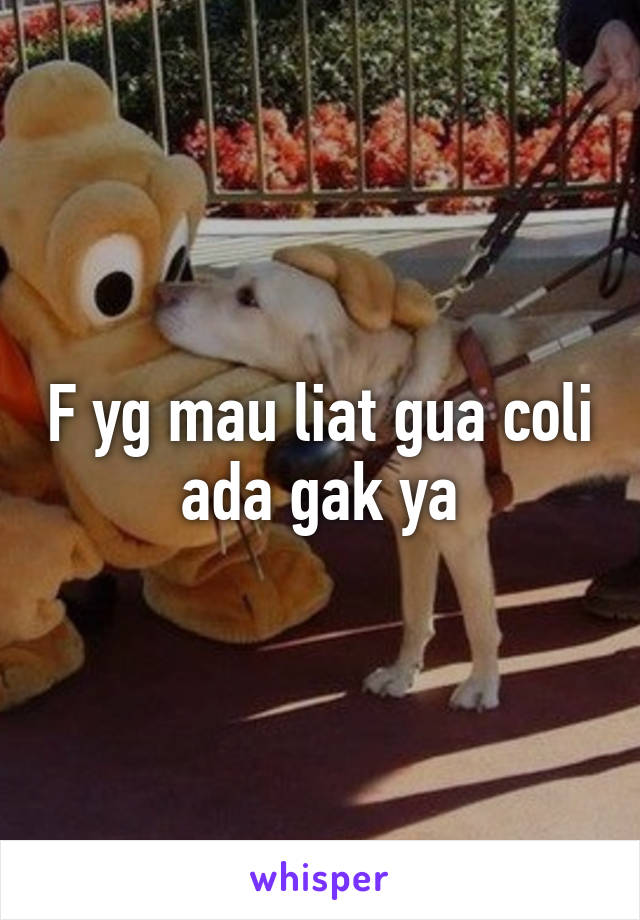 F yg mau liat gua coli ada gak ya