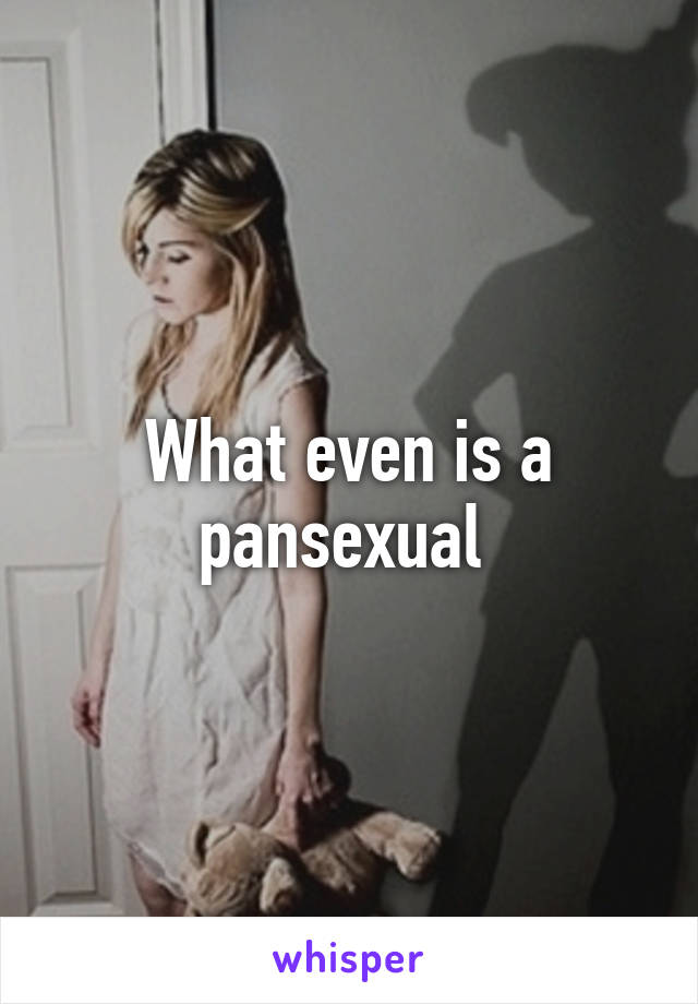 What even is a pansexual 