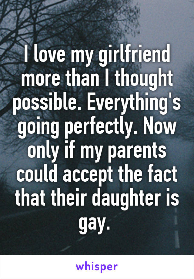 I love my girlfriend more than I thought possible. Everything's going perfectly. Now only if my parents could accept the fact that their daughter is gay. 