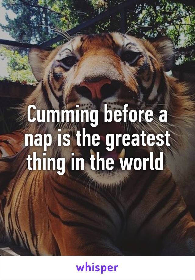 Cumming before a nap is the greatest thing in the world 