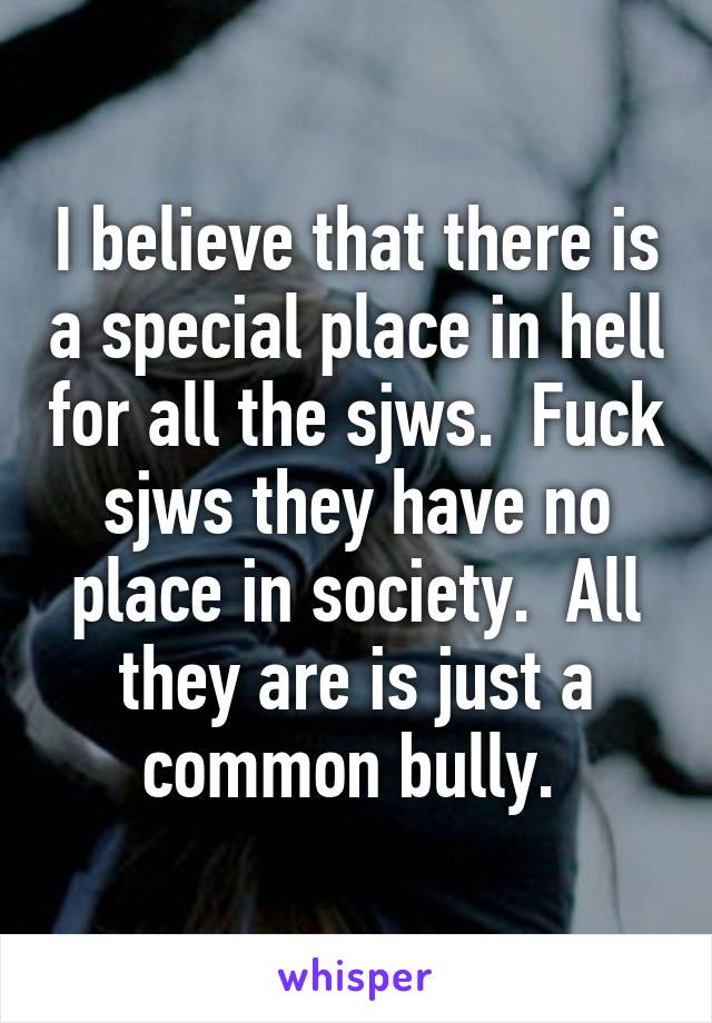 I believe that there is a special place in hell for all the sjws.  Fuck sjws they have no place in society.  All they are is just a common bully. 