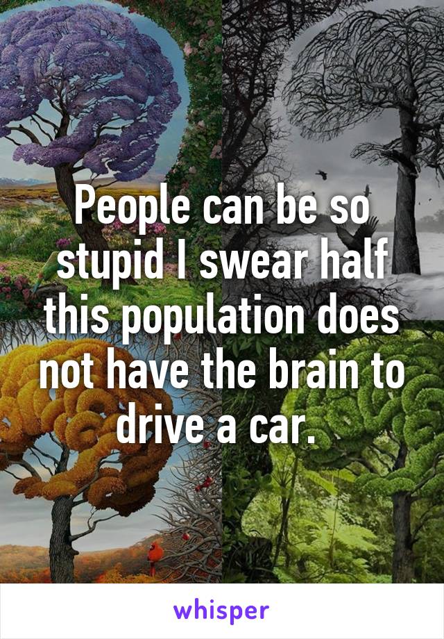 People can be so stupid I swear half this population does not have the brain to drive a car. 