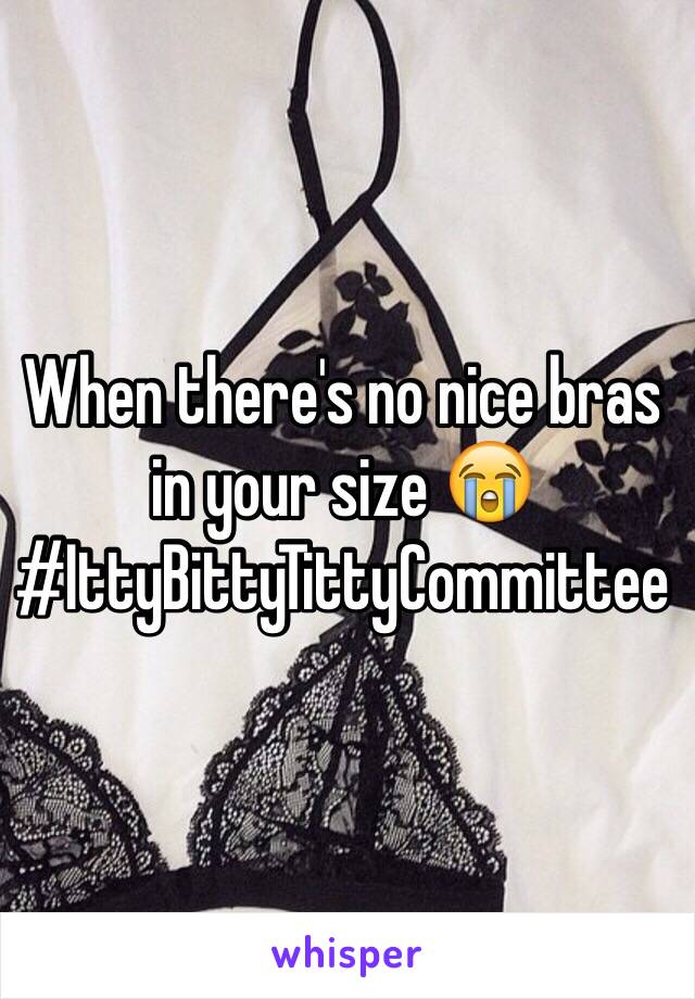 When there's no nice bras in your size 😭 #IttyBittyTittyCommittee