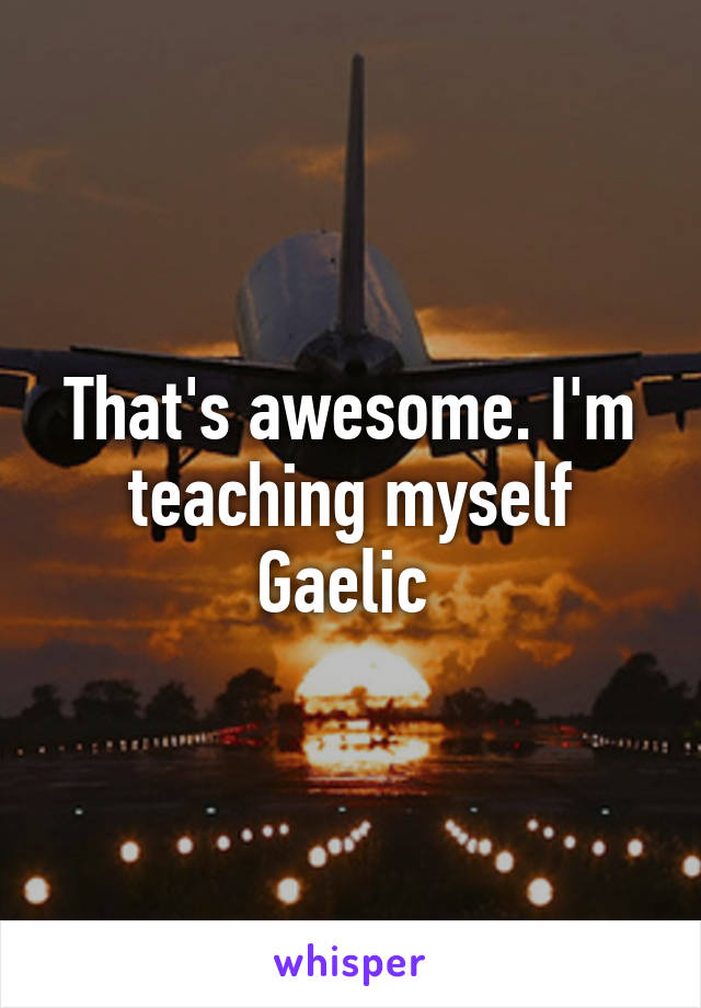 That's awesome. I'm teaching myself Gaelic 