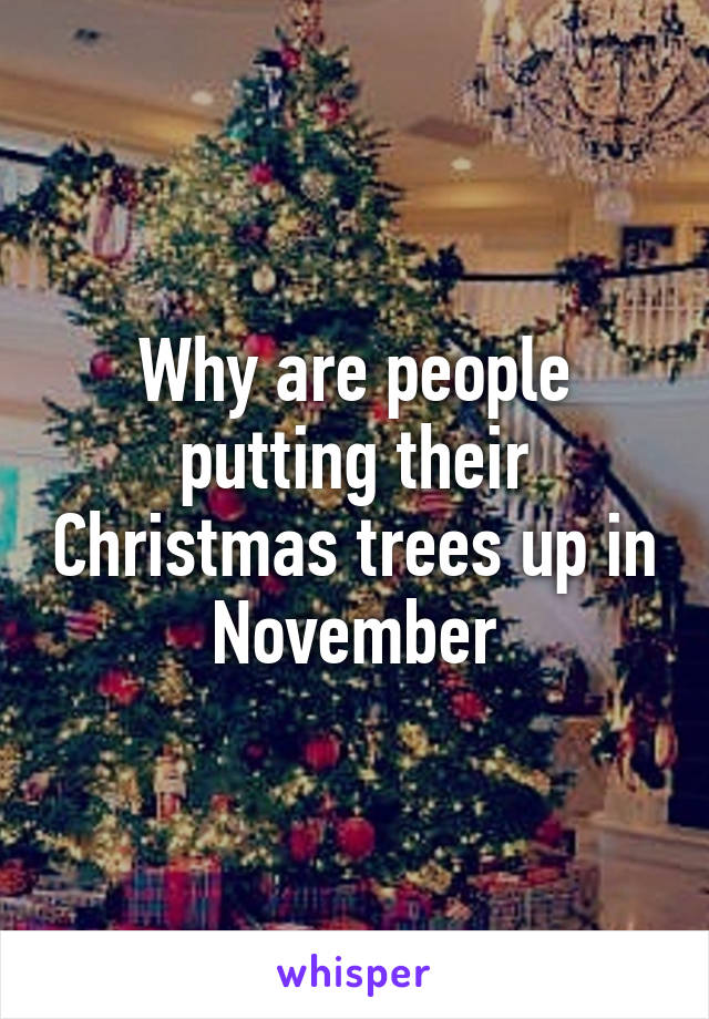 Why are people putting their Christmas trees up in November