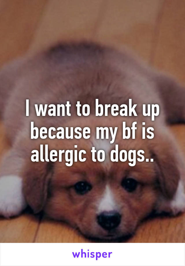 I want to break up because my bf is allergic to dogs..