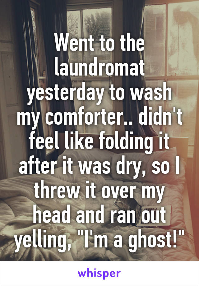 Went to the laundromat yesterday to wash my comforter.. didn't feel like folding it after it was dry, so I threw it over my head and ran out yelling, "I'm a ghost!"