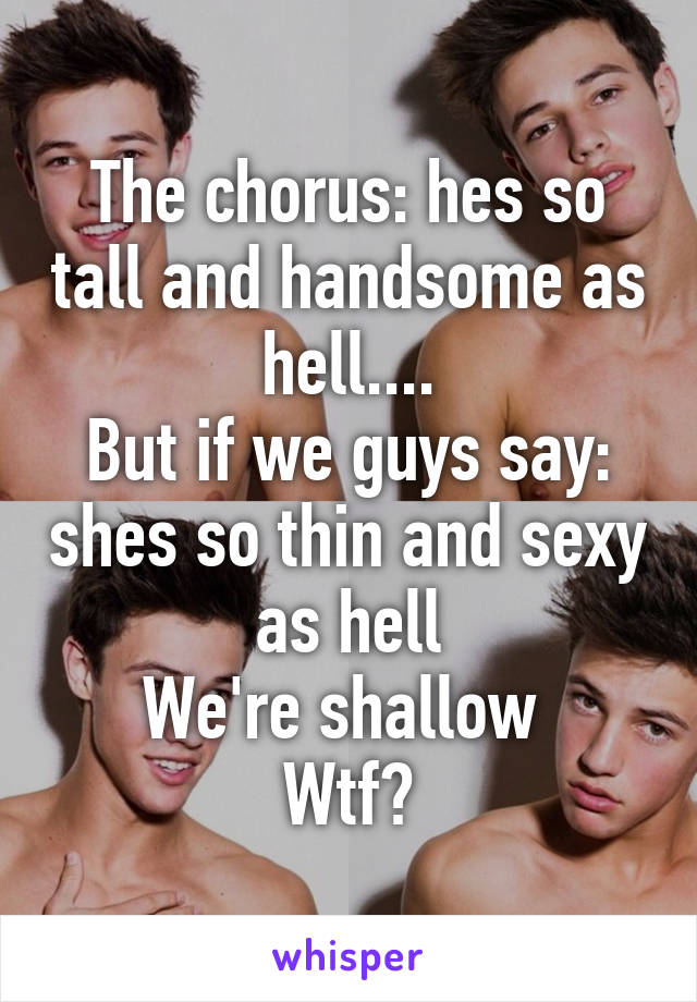 The chorus: hes so tall and handsome as hell....
But if we guys say: shes so thin and sexy as hell
We're shallow 
Wtf?