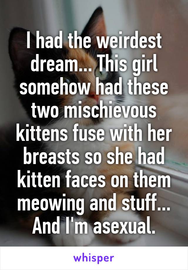 I had the weirdest dream... This girl somehow had these two mischievous kittens fuse with her breasts so she had kitten faces on them meowing and stuff... And I'm asexual.