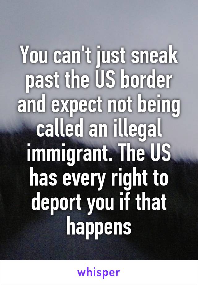 You can't just sneak past the US border and expect not being called an illegal immigrant. The US has every right to deport you if that happens