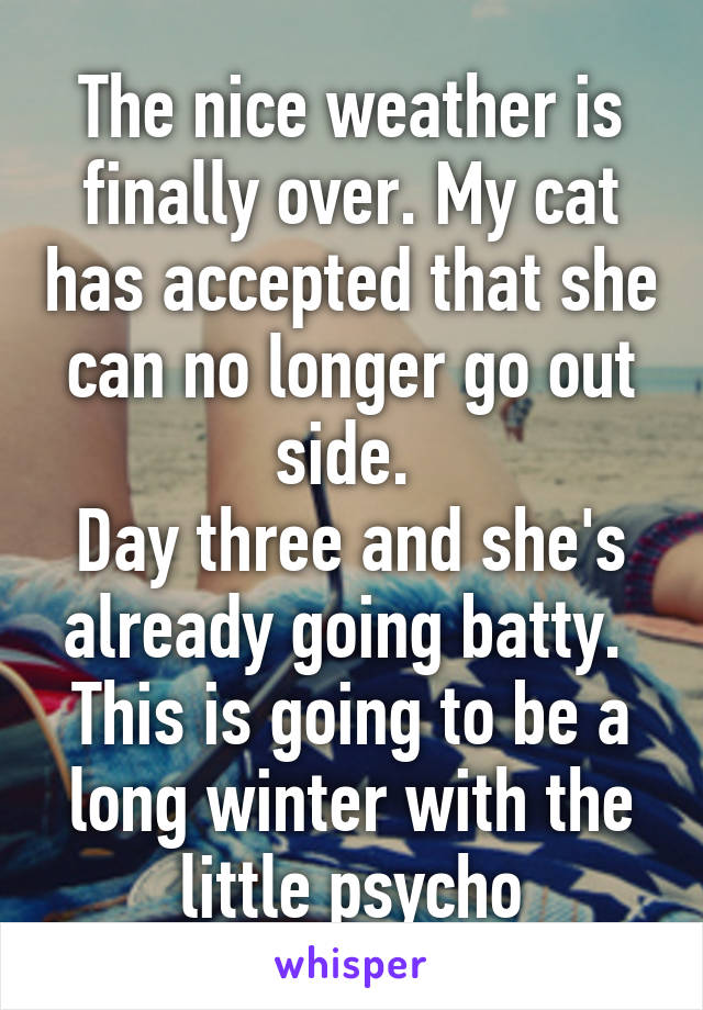 The nice weather is finally over. My cat has accepted that she can no longer go out side. 
Day three and she's already going batty. 
This is going to be a long winter with the little psycho