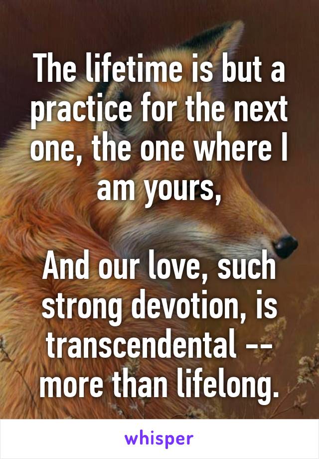 The lifetime is but a practice for the next one, the one where I am yours,

And our love, such strong devotion, is transcendental -- more than lifelong.