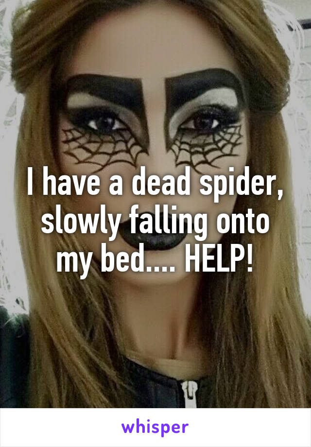 I have a dead spider, slowly falling onto my bed.... HELP!