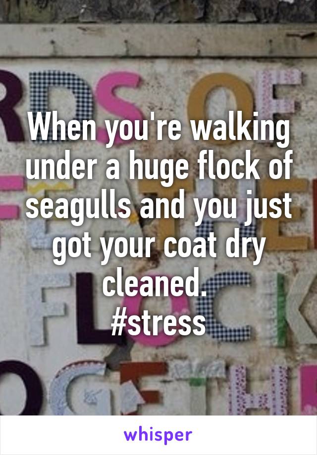 When you're walking under a huge flock of seagulls and you just got your coat dry cleaned. 
#stress