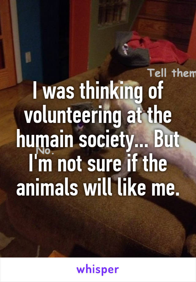 I was thinking of volunteering at the humain society... But I'm not sure if the animals will like me.