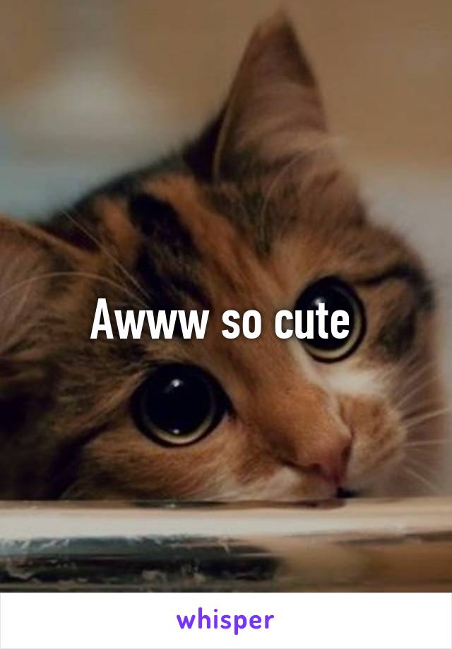 Awww so cute 