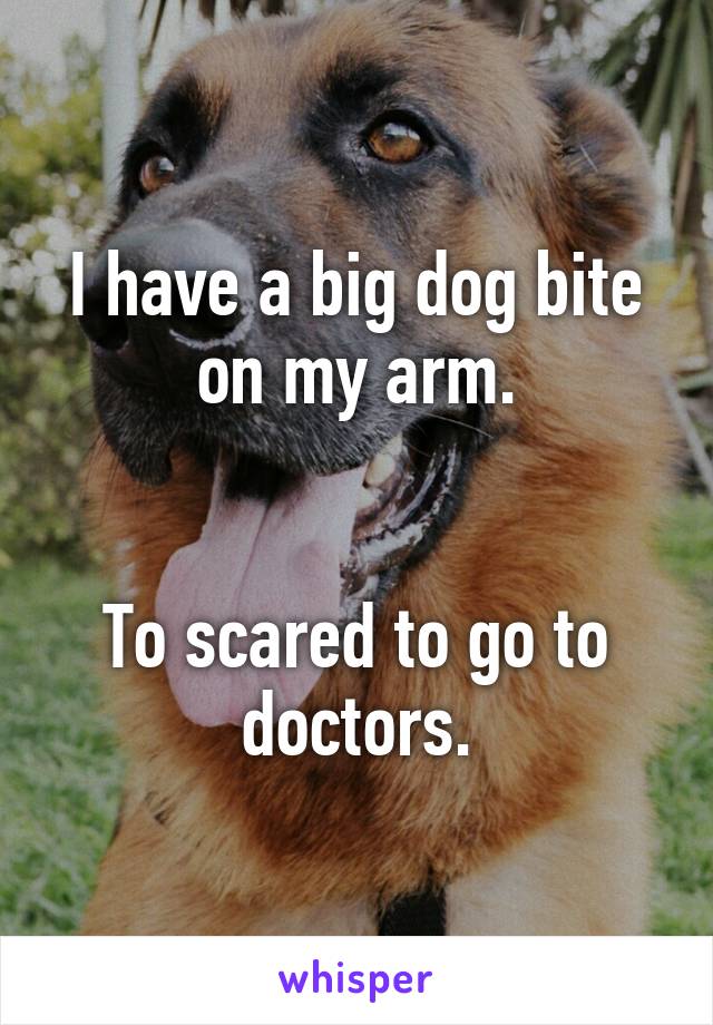 I have a big dog bite on my arm.


To scared to go to doctors.