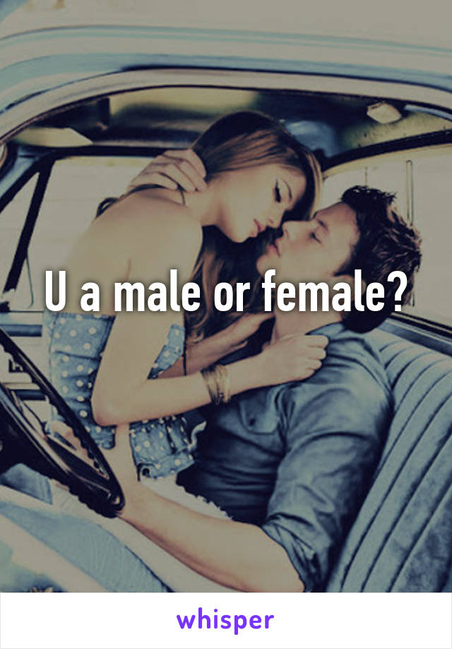 U a male or female?
