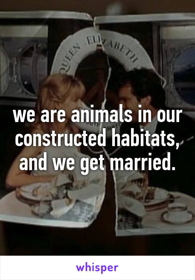 we are animals in our constructed habitats, and we get married.